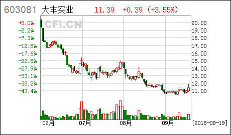 大丰实业对外投资设立全资子公司并完成工商登记